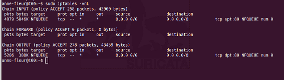 ../_images/iptables_vnL.png